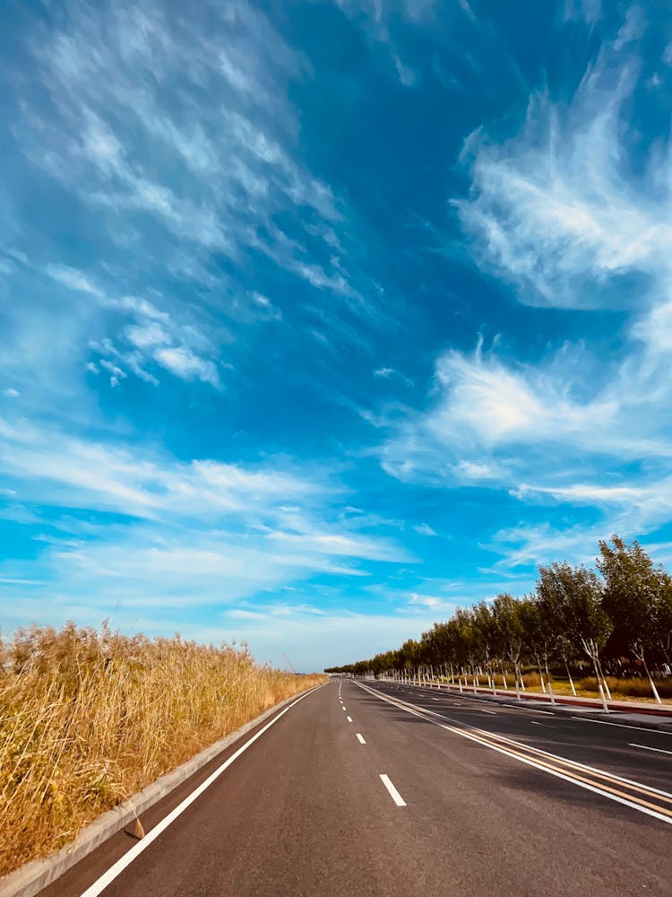 best road transportation land shipping dubai iraq